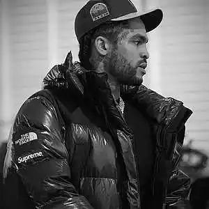 Picture for song 'Gone For The Winter / Dave East Type Beat' by artist 'Buckroll'