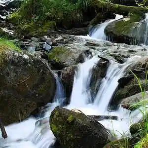 Picture for song '11_Babbling Brook_Clint Lavens' by artist 'Clint Lavens'