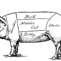 Picture for song 'We Live Off The Swine' by artist 'DT Jackson'