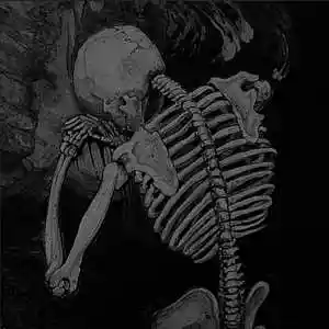 Picture for song 'Trap Metal Type Beat x Scarlxrd Type Beat' by artist 'fonkyfake'