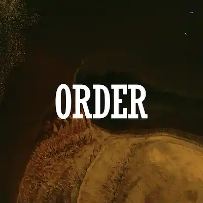 Song picture of 'Order [Afrornb x Afro fusion Type Beat]'