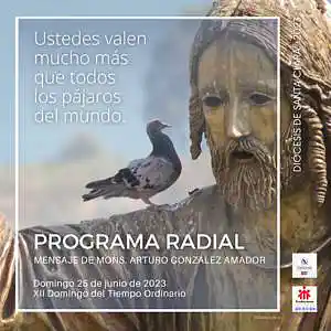 Picture for song 'XII Domingo del tiempo ordinario, 25 de junio' by artist 'Producciones Vandor'