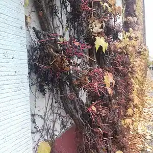 Picture for song 'Hass Ist Ballast' by artist 'Restsound'