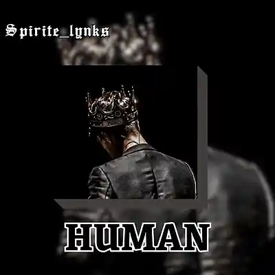 Picture for song 'HUMAN' by artist 'SPIRITE LYNKS'