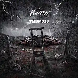 Picture for song 'Warrior' by artist 'TMBM313'