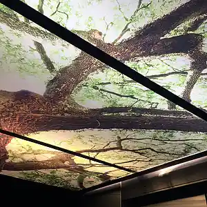 Picture for song 'H2O' by artist 'Alexander Coleman'