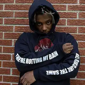 Picture for song 'Hobby Cash Flow' by artist 'Brentin Davis Beats'