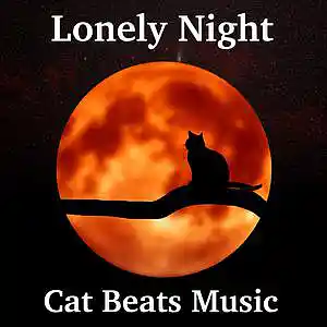 Picture for song 'Lonely Night' by artist 'Cat Beats'