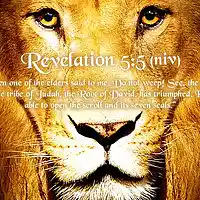 Picture for song 'spontaneous song hungry' by artist 'COTLC'