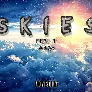 Picture for song 'skies' by artist 'Feyi T'
