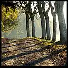Picture for song 'Petite promenade' by artist 'FMONTMAYEUR'