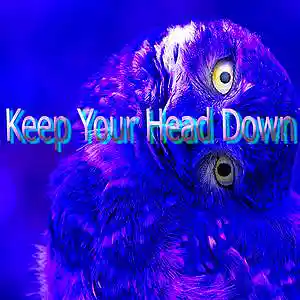 Picture for song 'Keep Your Head Down' by artist 'Fusion Juice'