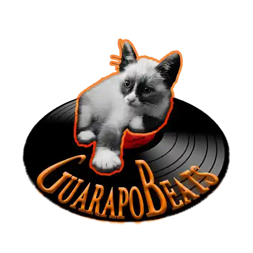 Picture for song 'A Long Night In Tokio' by artist 'Guarapo Beats'