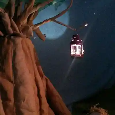 Picture for song 'Graine ou le jardin des saisons - Hiver' by artist 'Metivier Matthieu'