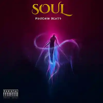 Picture for song 'SOUL' by artist 'PHOE9I6 Beats'