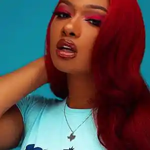 Picture for song 'Megan Thee Stallion Type Beat - Mad Dog' by artist 'prod. by DUFF'