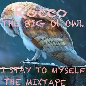 Picture for song 'FLY BY NIGHT (ROCCO COMING)' by artist 'Rocco The Big Ol Owl'