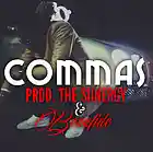 Picture for song 'Commas *Hard* FREE DL' by artist 'The Siinergy'