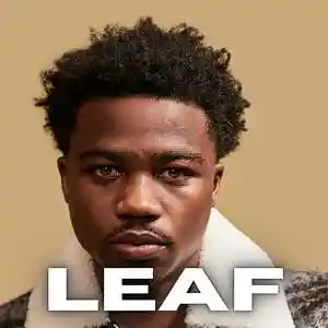 Picture for song '"Leaf"' by artist 'Trex Beats'