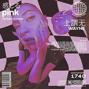 Picture for song 'pink' by artist 'wayne.prods'