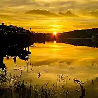 Picture for song 'Yellow Dawn' by artist 'DeFinition BeatZ'