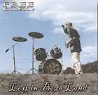 Picture for song 'Age of Rage' by artist 'Free Bozo'