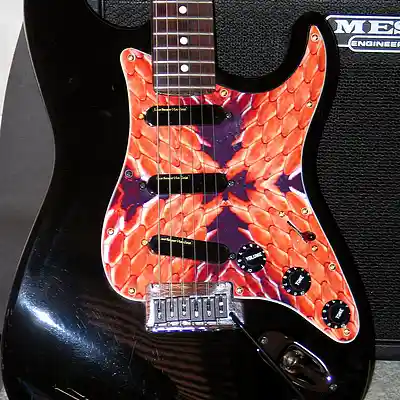 Picture for song 'Do you see what I see' by artist 'Homoerectus (AUS)'