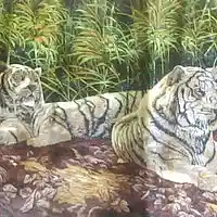 Picture for song 'My Calm in the Midst of Chaos' by artist 'Joe Aldworth'