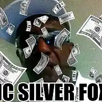Picture for song 'DOLLARS!' by artist 'MC SILVER FOX'