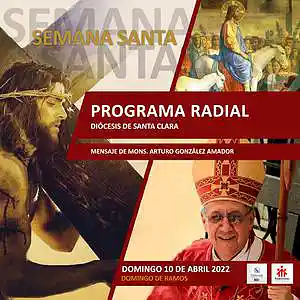 Picture for song 'Domingo de Ramos - 10 de abril' by artist 'Producciones Vandor'
