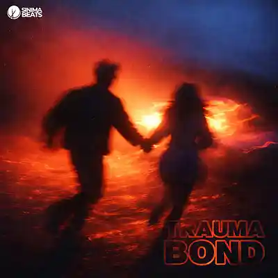 Picture for song 'Trauma Bond with Vox' by artist 'SINIMA BEATS'