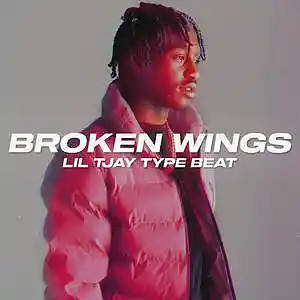 Picture for song 'Broken Wings (BUY 1 GET 4 FREE)' by artist 'Wendigo'