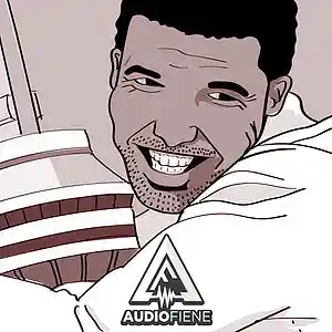 Picture for song 'Wish (Drake, Bryson)' by artist 'Audio Fiene'