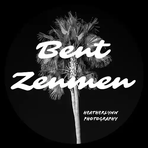 Picture for song 'Who are the Bent Zen Men?' by artist 'Bent Zenmen'