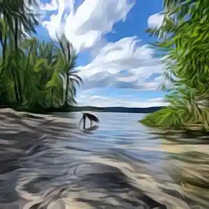 Picture for song 'Hyperlapse' by artist 'coatedwithcandy'