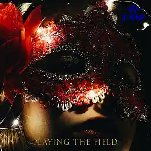 Picture for song 'Playing the Field' by artist 'D8sh'