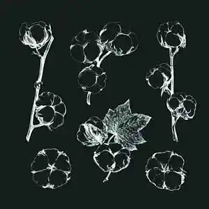Picture for song 'Cotton (Dark Melodic Type Beat) - Devezin.com' by artist 'Devezin'