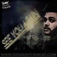 Picture for song 'See you again' by artist 'Dras On The Beat'