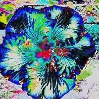 Picture for song '11 Track 11 symph 774 in 3 movemenys cd 270' by artist 'FranklinEMorris'