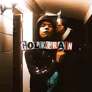 Picture for song 'WICKED 2 - Nardo Wick Type Beat - 152bpm Bbmin' by artist 'Goldgrain'