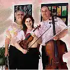 Picture for song 'Haydn Trio in G mvnt 1' by artist 'Harry Scorzo'