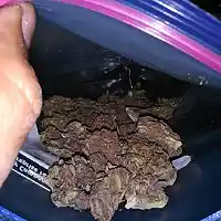 Picture for song 'rocs' by artist 'ifreshink'