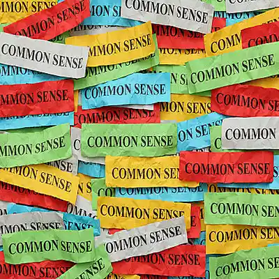 Picture for song 'Common Sense' by artist 'John Bowen'