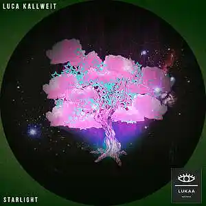 Picture for song 'Starlight' by artist 'Luca Kallweit'