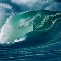 Picture for song 'waveflotagged' by artist 'Nizzynosleep'