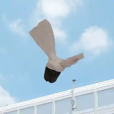 Picture for song 'FlyingBagsOfTheUniversePt1' by artist 'SLEEPINGBLANKETTWO'