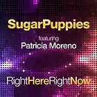Picture for song 'Right Here, Right Now' by artist 'Sugar Puppies'