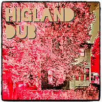 Picture for song 'Highland Dub' by artist 'Turtle Necromancer'