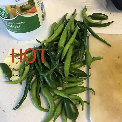 Picture for song 'The Products Of Respiration' by artist 'Al Dionisio'