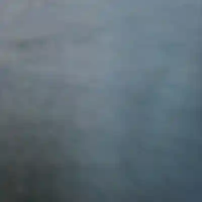 cover pic